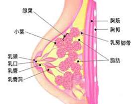 乳腺增生的三大疗法介绍